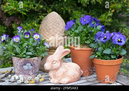 osterdekoration mit osterhase und blauen Viola-Blüten Terrakotta-Töpfe Stockfoto