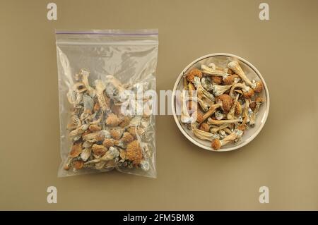 Psilocybin Psilocybe Cubensis Pilze in einer Plastiktüte auf braunem weichen Hintergrund. Psychedelischer Zauberpilz Golden Teacher. Draufsicht, flach liegend. Micr Stockfoto