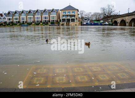 Maidenhead, Anford, Großbritannien. Februar 2021. Wasser bedeckt teilweise die Stufen hinauf zum Roux Restaurant an der Maidenhead Bridge. Die Themse ist in der Nähe der Maidenhead Bridge an ihren Ufern platzt. Für den Maidenhead-Abschnitt der Themse bleibt ein Hochwasser-Warnhinweis in Kraft. Die Temperatur ist heute Morgen in Maidenhead nicht über den Gefrierpunkt geriet, da für den Nachmittag Schneeregen prognostiziert wird. Quelle: Maureen McLean/Alamy Stockfoto