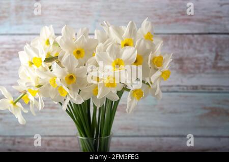 Bouquet von schönen Narzissen verschiedener Arten, Hintergrund. Frühlingsblumen, Terry und gelbe Staubgefäße Narzissen. Stockfoto