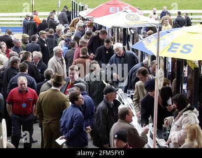 NATIONAL HUNT FESTIVAL CHELTENHAM 1. TAG 11/3/2003 BILD DAVID ASHDOWN RACING CHELTENHAM Stockfoto