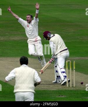 England gegen West Indies Cricket August 2000 Tag 2 Dominic Cork Bowler feiert, nachdem er das Wicket von Jimmy Adams genommen hat Batsman Stockfoto