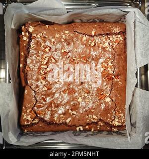Triple Chocolate Fudge Brownie garniert mit Pekannüssen frisch aus dem Ofen noch in seinem Backblech Stockfoto