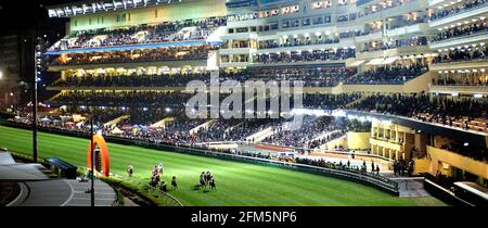 INTERNATIONALE JOCKEYS CHAMPIONSHIP-RENNEN IM HAPPY VALLEY HONG KONG 11/12/2002 DAS AMERIKA-HANDICAP IM ZIEL. BILD DAVID ASHDOWN RACING Stockfoto