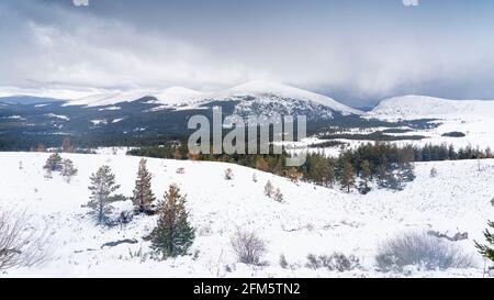 Aviemore, Schottland, Großbritannien. 6 Mai 2021. Heftige nächtliche Schneefälle im Cairngorms National Park gaben der Landschaft einen unsaisonalen winterlichen Blick. Begeisterte Bergsportler machten das Beste aus den Bedingungen, obwohl die Sessellifte geschlossen waren. Das bedeutete lange Spaziergänge die Pisten hinauf, bevor man abseits der Piste abfahren konnte. Bild; Landschaft des Cairngorms National Park. Iain Masterton/Alamy Live News Stockfoto