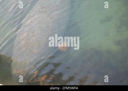 Wasserspiegelungen mit abstrakten Designs und Farben Stockfoto