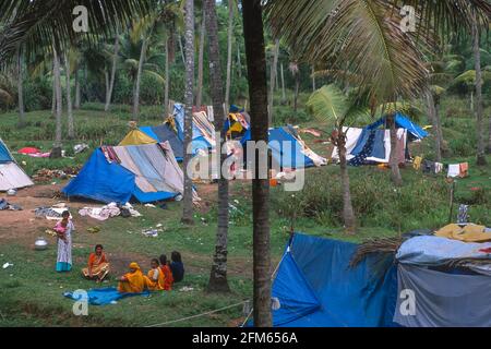 KERALA, INDIEN – Wanderarbeiter aus Andhra Pradesh lagerten in den Bergen der Western Ghats, Kottayam-Distrikt. Stockfoto