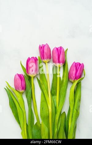 Rosa Tulpen auf Marmorboden Stockfoto