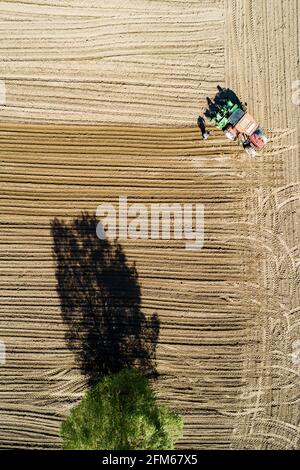 Traktor bei der Arbeit im gepflügten Feld, Luftaufnahme Stockfoto