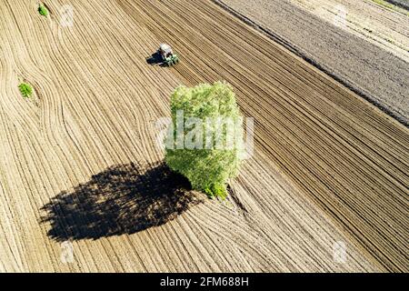 Traktor bei der Arbeit im gepflügten Feld, Luftaufnahme Stockfoto