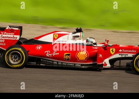 Seb Ferrari 2016 Stockfoto