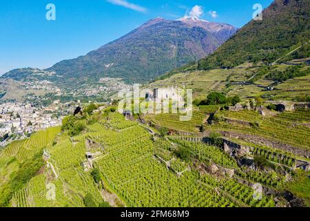 Valtellina (IT), Grumello Weinberge in der Nähe von Sondrio, Luftaufnahme Stockfoto