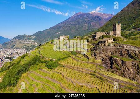 Valtellina (IT), Grumello Weinberge in der Nähe von Sondrio, Luftaufnahme Stockfoto