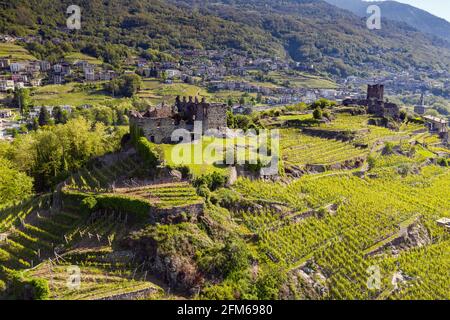 Valtellina (IT), Grumello Weinberge in der Nähe von Sondrio, Luftaufnahme Stockfoto