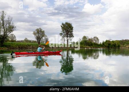 Frau, die auf dem Fluss Krka Kajak gefahren ist und auf die Schwäne auf dem Fluss in Slowenien in der Nähe von Kostanjevica na Krki schaut Stockfoto