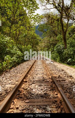 Alte und rostige Bahngleise, entlang des Flusses Urubamba, in Richtung der Stadt Santa Teresa, von Aguas Calientes, in der Nähe von Machu Picchu, umgeben von der Ama Stockfoto