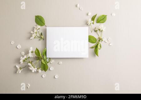 Elegante florale Komposition mit Papier blank in der Mitte von grauem Hintergrund. Branding-Modell, Weihnachtsmarketing-Konzept. Zusammensetzung von Kirsche und Stockfoto