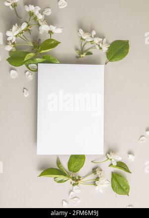 Elegante florale Komposition mit Papier blank in der Mitte von grauem Hintergrund. Branding-Modell, Weihnachtsmarketing-Konzept. Zusammensetzung von Kirsche und Stockfoto