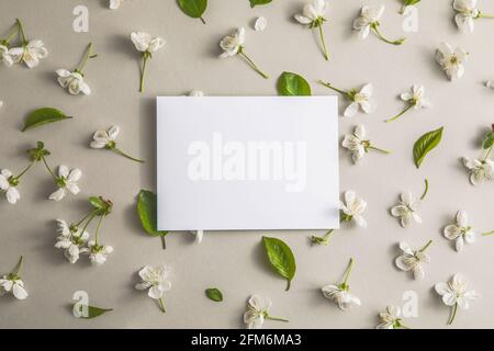 Elegante florale Komposition mit Papier blank in der Mitte von grauem Hintergrund. Branding-Modell, Weihnachtsmarketing-Konzept. Muster aus Kirsche und Weißwursch Stockfoto