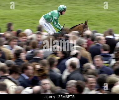 NATIONAL HUNT FESTIVAL CHELTENHAM 1. TAG 11/3/2003 BILD DAVID ASHDOWN RACING CHELTENHAM Stockfoto