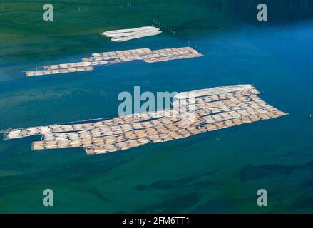 Luftaufnahme von Blockbooms in Cowichan Bay, Vancouver Island, British Columbia, Kanada. Stockfoto