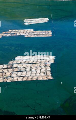 Luftaufnahme von Blockbooms in Cowichan Bay, Vancouver Island, British Columbia, Kanada. Stockfoto