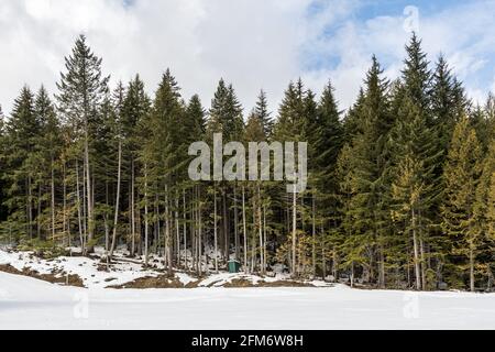 Winterliche Landschaft mit modifizierter Langlaufloipe im immergrünen Wald British Columbia Kanada. Stockfoto