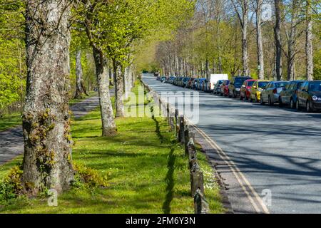 Lange Autos, die auf einer Seite der Straße in Mill Road, Arundel, West Sussex, England, Großbritannien, geparkt wurden. Stockfoto