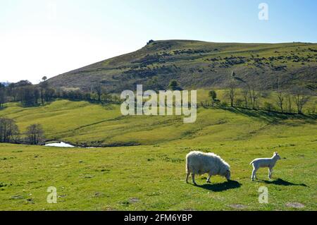 Blick auf Willstone Hill von Caer Caradoc in der Frühlingssonne, Shropshire Stockfoto