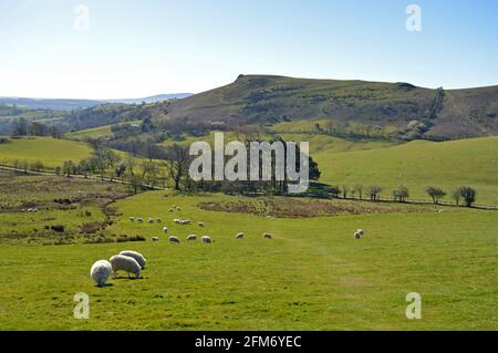 Blick auf Willstone Hill von Caer Caradoc in der Frühlingssonne, Shropshire Stockfoto