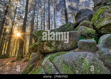 In der Nähe des Guenterfelsen, gefrorene moosige Felsen, der Brend Way, im Schwarzwald, Südwestdeutschland Stockfoto