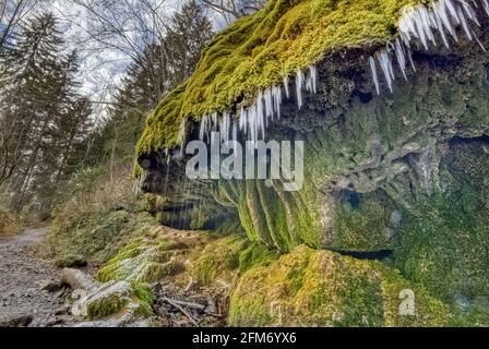 Eiszapfen am Dietfurter Wasserfall in der Wutach-Schlucht im Schwarzwald, Südwestdeutschland Stockfoto