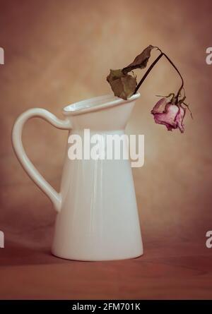 Trockene, welke Rosenblüten auf einer weißen Vase und Vintage Hintergrund Stockfoto