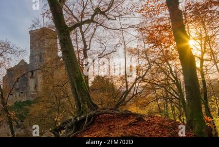 Schloss Roetteln eine tausendjährige Ruine in der Nähe der Stadt Loerrach, durch Herbstbäume gesehen, im Schwarzwald, Deutschland Stockfoto