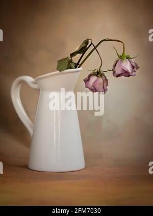 Trockene, welke Rosenblüten auf einer weißen Vase und Vintage Hintergrund Stockfoto