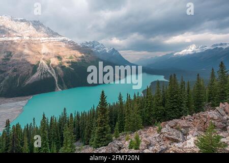 Peyto Lake im Banff National Park an einem sehr bewölkten und kalten Septembertag. Gletschersee in den Kanadischen Rockies. Endlose Wälder und Bergkette unter dr Stockfoto