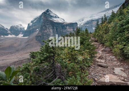 Lefroy Peak in den kanadischen Rockies an einem bewölkten Tag. Mt.Lefroy vom Plain of Six Glaciers Trail aus gesehen, Banff National Park, Kanada. Wandern und explor Stockfoto