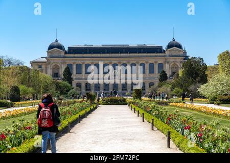 Jardin des Plantes in Paris Stockfoto