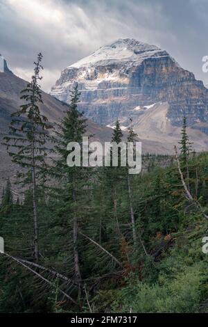 Lefroy Peak in den kanadischen Rockies, beleuchtet von Sonnenlicht an sonst bewölkten Tagen. Mt.Lefroy von der Plain of Six Glaciers Trail, Banff National Park, Stockfoto