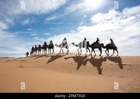 Kamelkarawane in der Sahara Wüste, Marokko Stockfoto