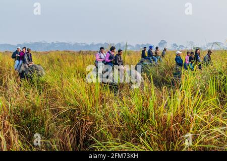 KAZIRANGA, INDIEN - 30. JANUAR 2017: Touristen während der Elefanten-Safari im Kaziranga National Park, Indien Stockfoto