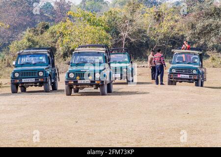 KAZIRANGA, INDIEN - 30. JANUAR 2017: Touristen in 4WDs während einer Safari im Kaziranga Nationalpark. Stockfoto