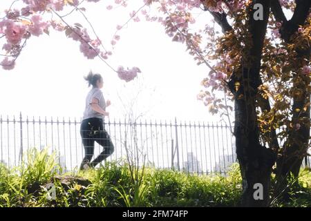 Stephanie und Fred Shuman laufen auf einem sonnigen Frühlingstag, NYC, USA Stockfoto