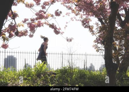 Stephanie und Fred Shuman laufen auf einem sonnigen Frühlingstag, NYC, USA Stockfoto