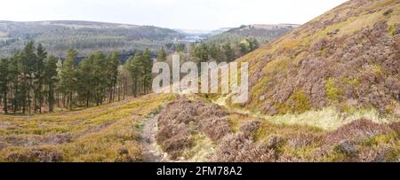 Panoramablick auf den Howden-Staudamm zwischen den Stauseen Upper Derwent und Howden, mit einem Fußweg, der ins Tal führt. Stockfoto