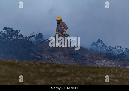 Feuerwehrmannschaften bekämpfen das Gorse-Feuer auf der Isle of Anglesey. Stockfoto