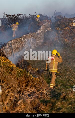 Feuerwehrmannschaften bekämpfen das Gorse-Feuer auf der Isle of Anglesey. Stockfoto