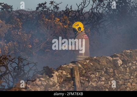 Feuerwehrmannschaften bekämpfen das Gorse-Feuer auf der Isle of Anglesey. Stockfoto