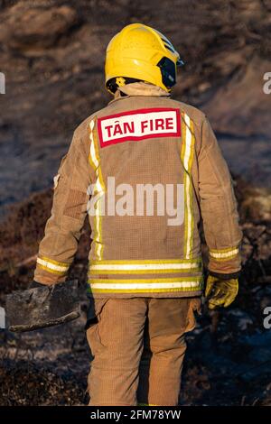 Feuerwehrmannschaften bekämpfen das Gorse-Feuer auf der Isle of Anglesey. Stockfoto