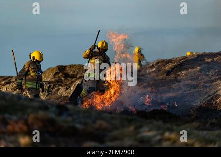 Feuerwehrmannschaften bekämpfen das Gorse-Feuer auf der Isle of Anglesey. Stockfoto